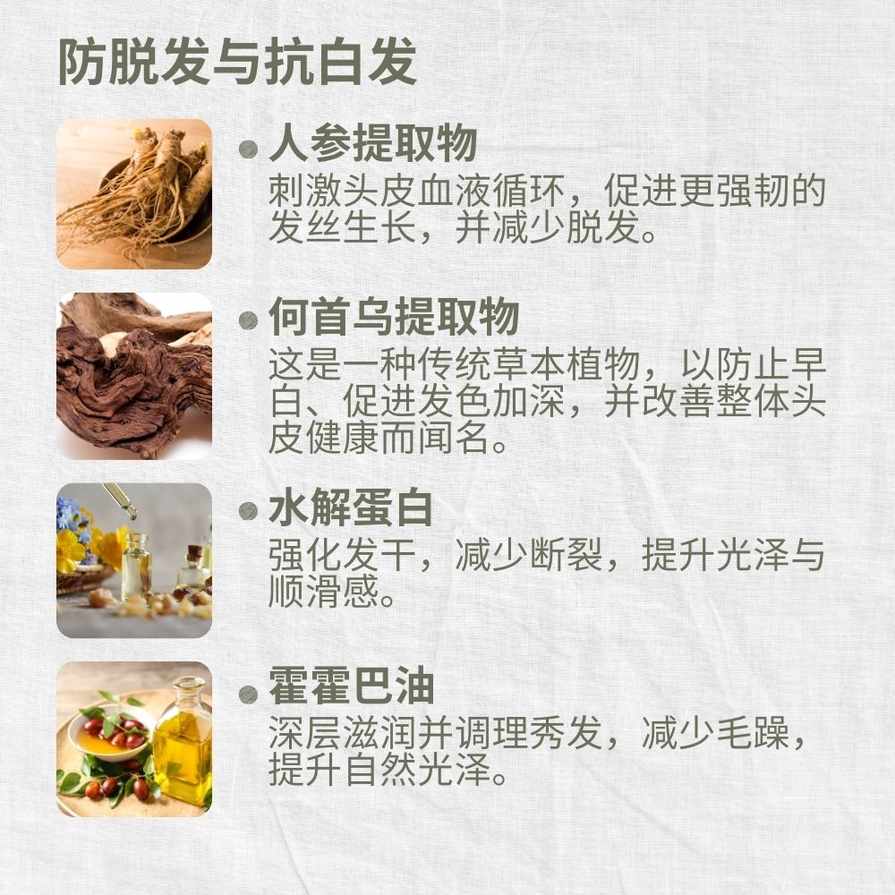 Anti-Dandruff Shampoo, Eucalyptus & Tea Tree, Anti-Itch, Anti-Flake, L&P Organic and Natural