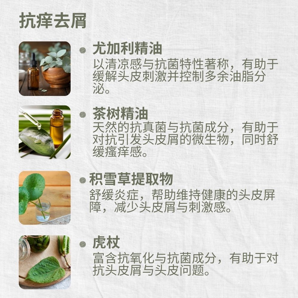 Anti-Dandruff Shampoo, Eucalyptus & Tea Tree, Anti-Itch, Anti-Flake, L&P Organic and Natural