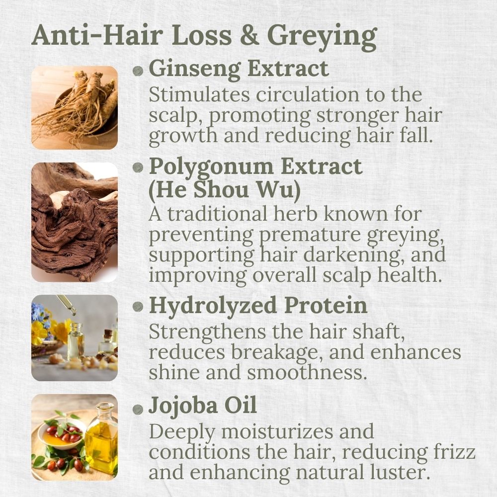 Anti-Dandruff Shampoo, Eucalyptus & Tea Tree, Anti-Itch, Anti-Flake, L&P Organic and Natural