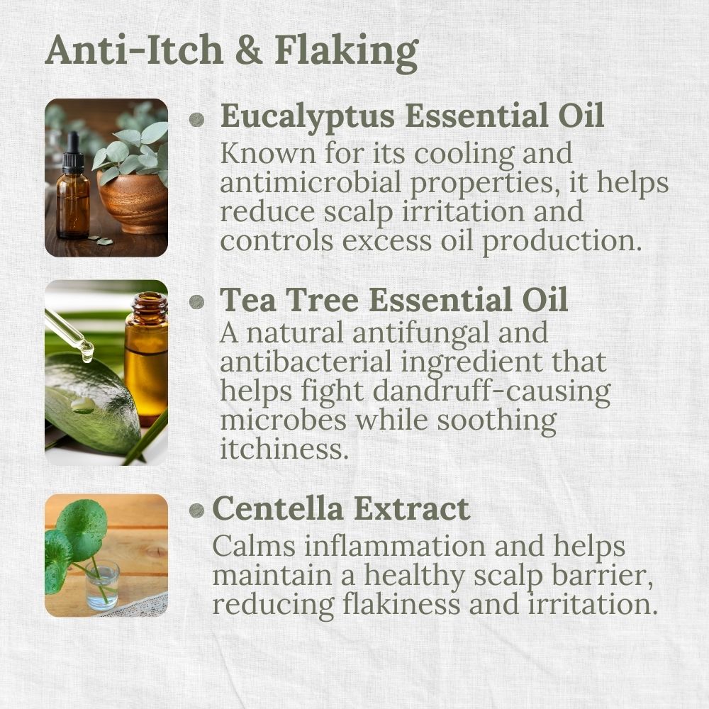 Anti-Dandruff Shampoo, Eucalyptus & Tea Tree, Anti-Itch, Anti-Flake, L&P Organic and Natural