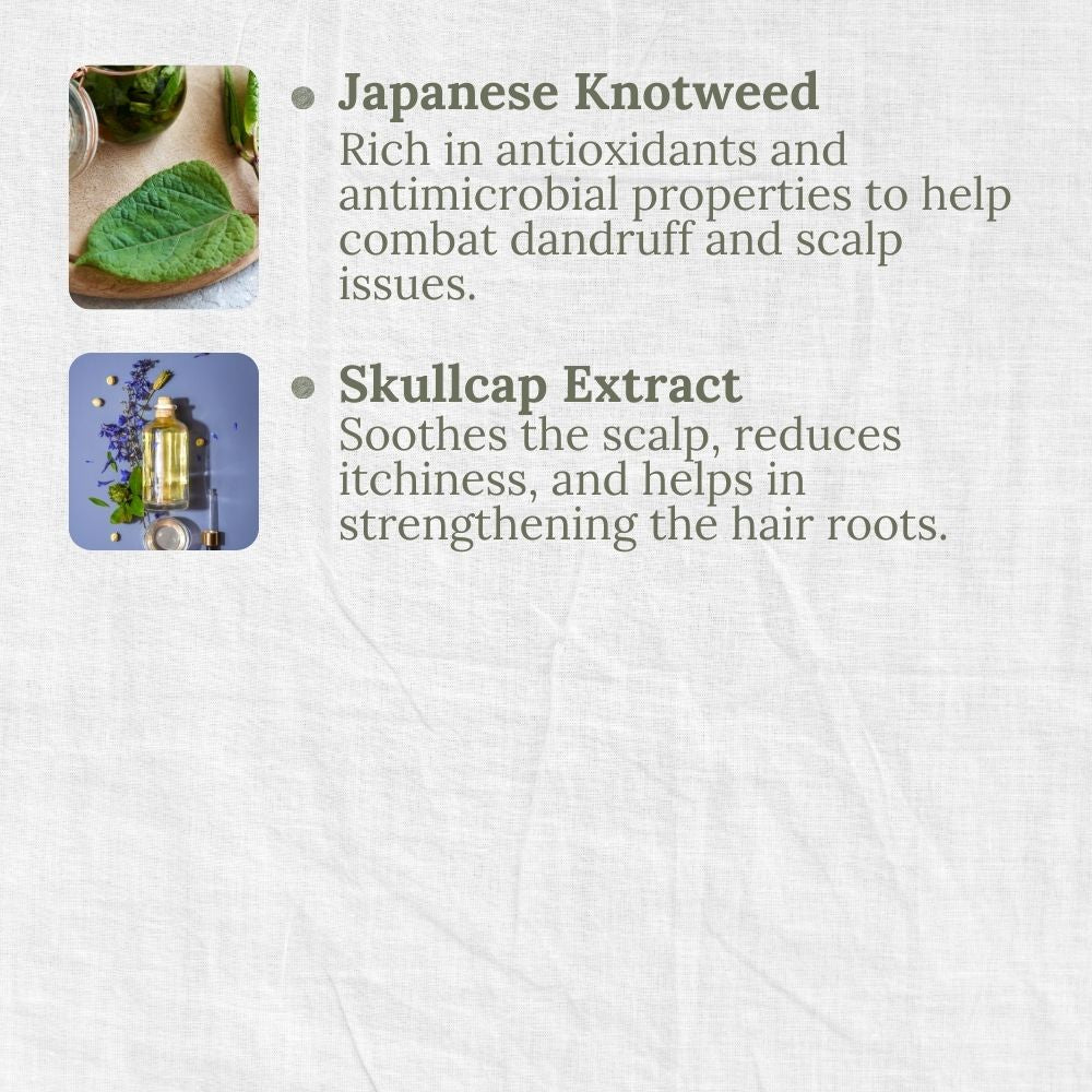 Anti-Dandruff Shampoo, Eucalyptus & Tea Tree, Anti-Itch, Anti-Flake, L&P Organic and Natural