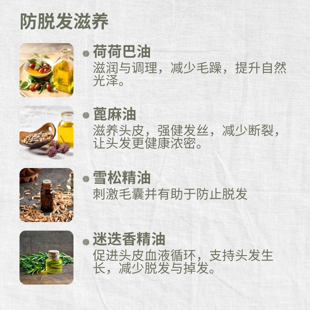 Mild & Gentle Shampoo, Refreshing Citrus Ginger, Anti-Hair Loss, Nourishing, L&P Organic and Natural