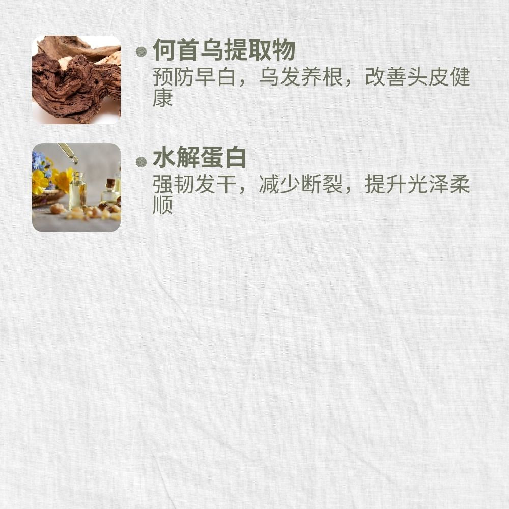 Mild & Gentle Shampoo, Refreshing Citrus Ginger, Anti-Hair Loss, Nourishing, L&P Organic and Natural