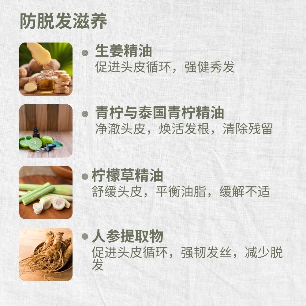 Mild & Gentle Shampoo, Refreshing Citrus Ginger, Anti-Hair Loss, Nourishing, L&P Organic and Natural