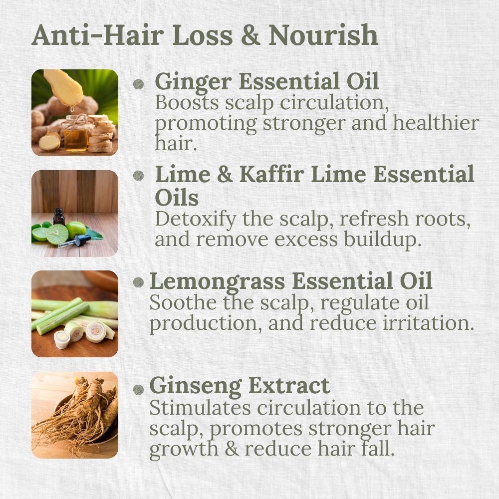 Mild & Gentle Shampoo, Refreshing Citrus Ginger, Anti-Hair Loss, Nourishing, L&P Organic and Natural