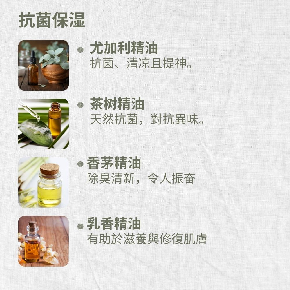 Mild & Gentle Body Wash, Active Eucalyptus, Antibacterial, Refreshing, L&P Organic and Natural