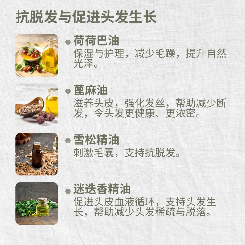 Mild & Gentle Shampoo, Lavender, Anti-Hair Loss, Growth, L&P Organic and Natural