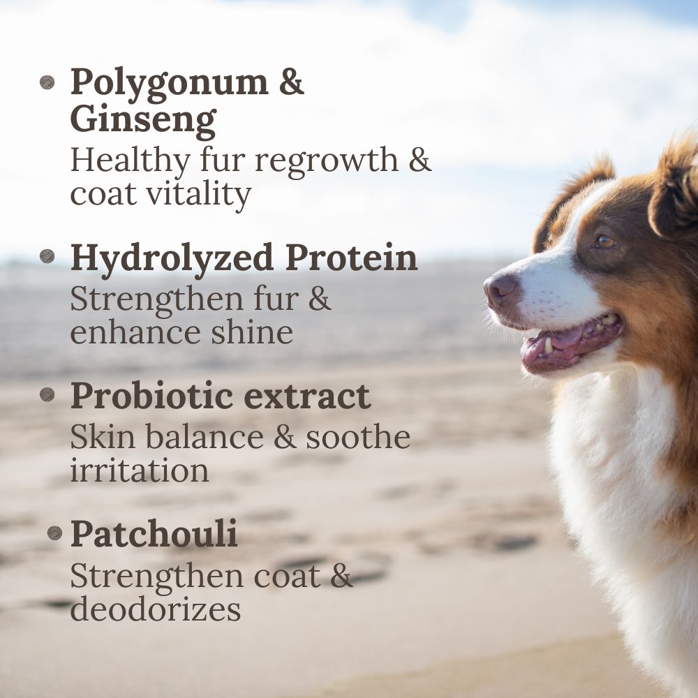 Fur & Coat Silky Shine Spray, 60ml, Repair, Strengthen, Shine, L&P Organic and Natural