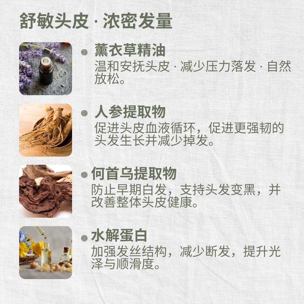 Mild & Gentle Shampoo, Lavender, Anti-Hair Loss, Growth, L&P Organic and Natural