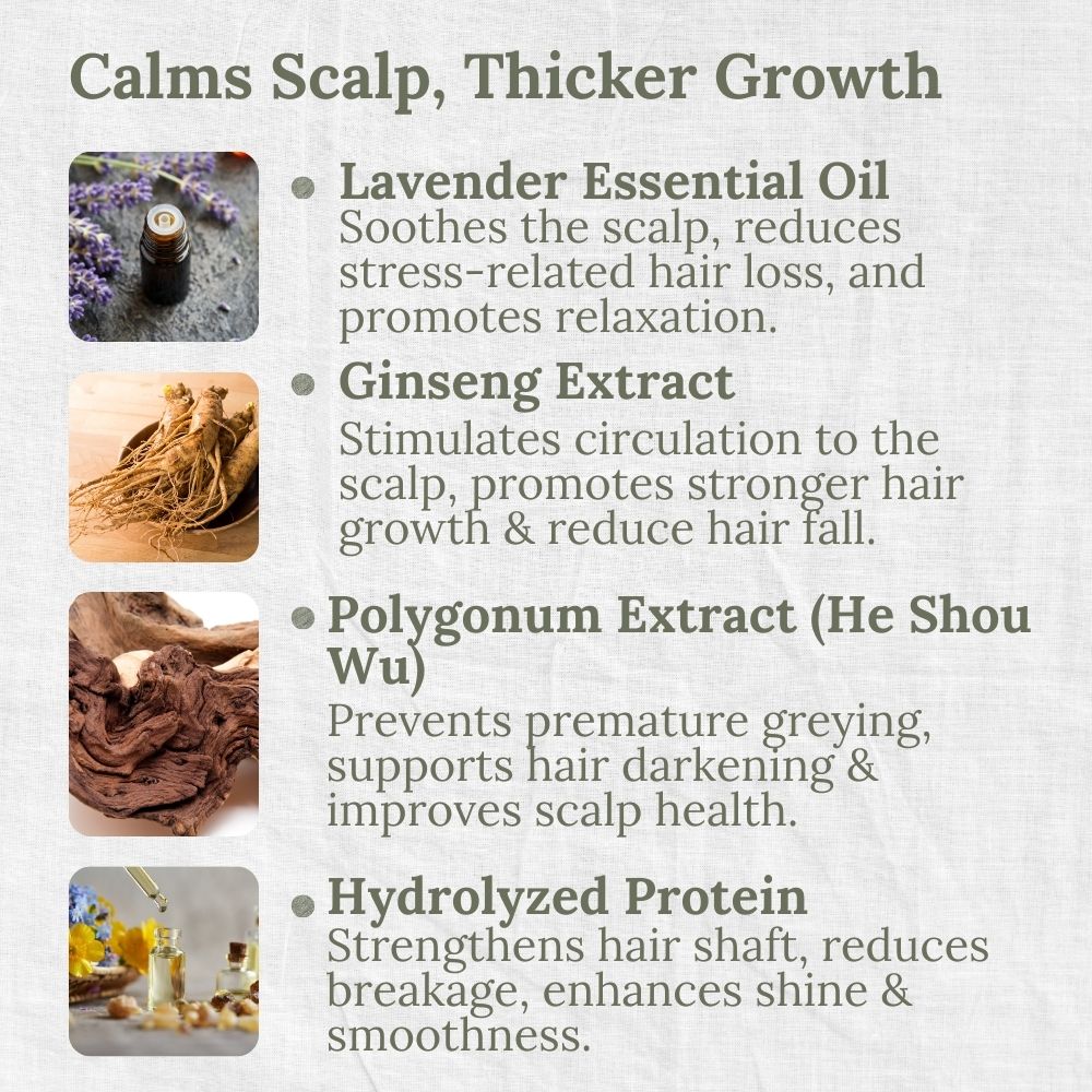 Mild & Gentle Shampoo, Lavender, Anti-Hair Loss, Growth, L&P Organic and Natural