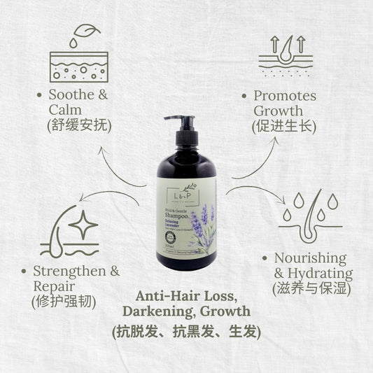 Mild & Gentle Shampoo, Lavender, Anti-Hair Loss, Growth, L&P Organic and Natural