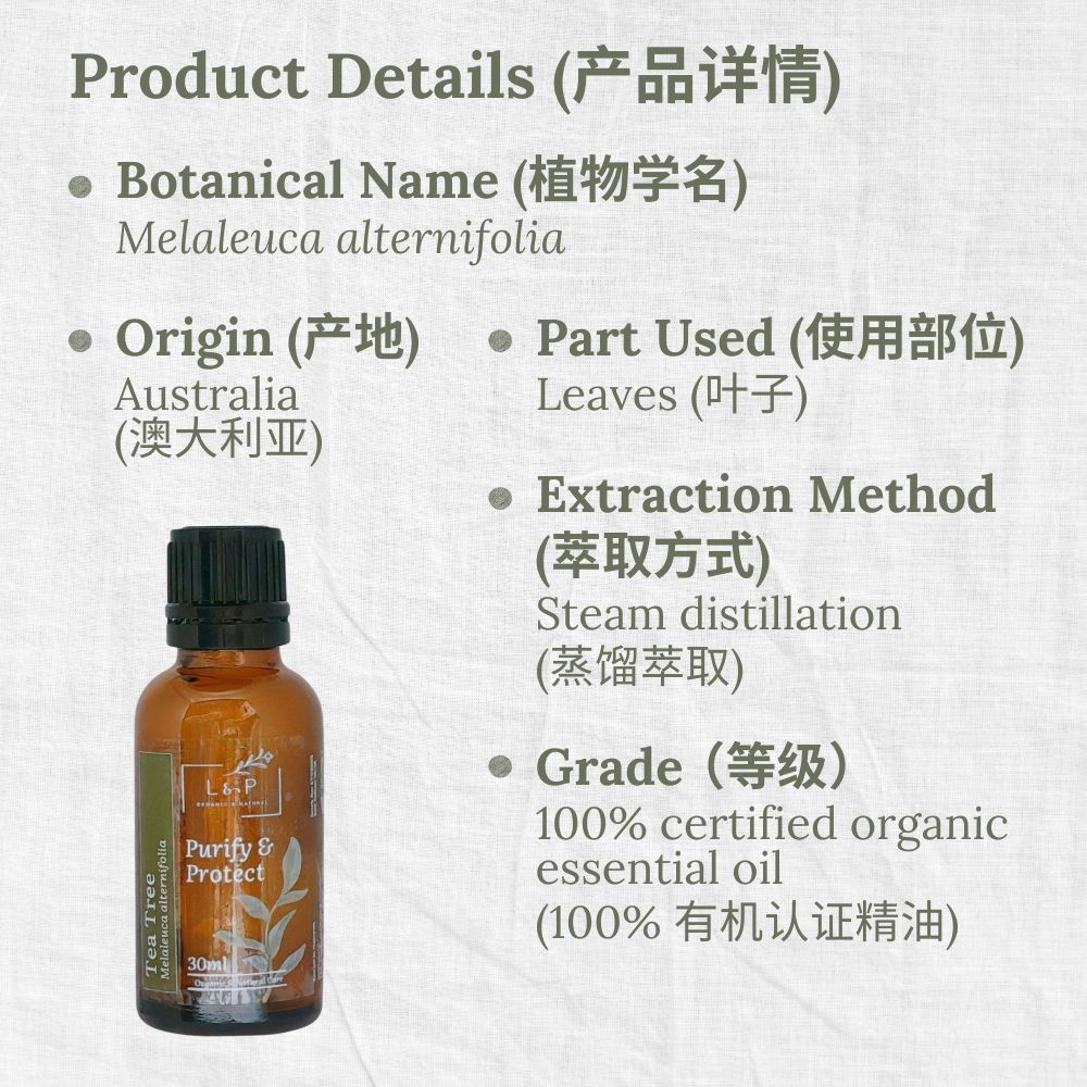 Organic Essential Oil, Tea Tree, Purify, Protect, L&P Organic and Natural