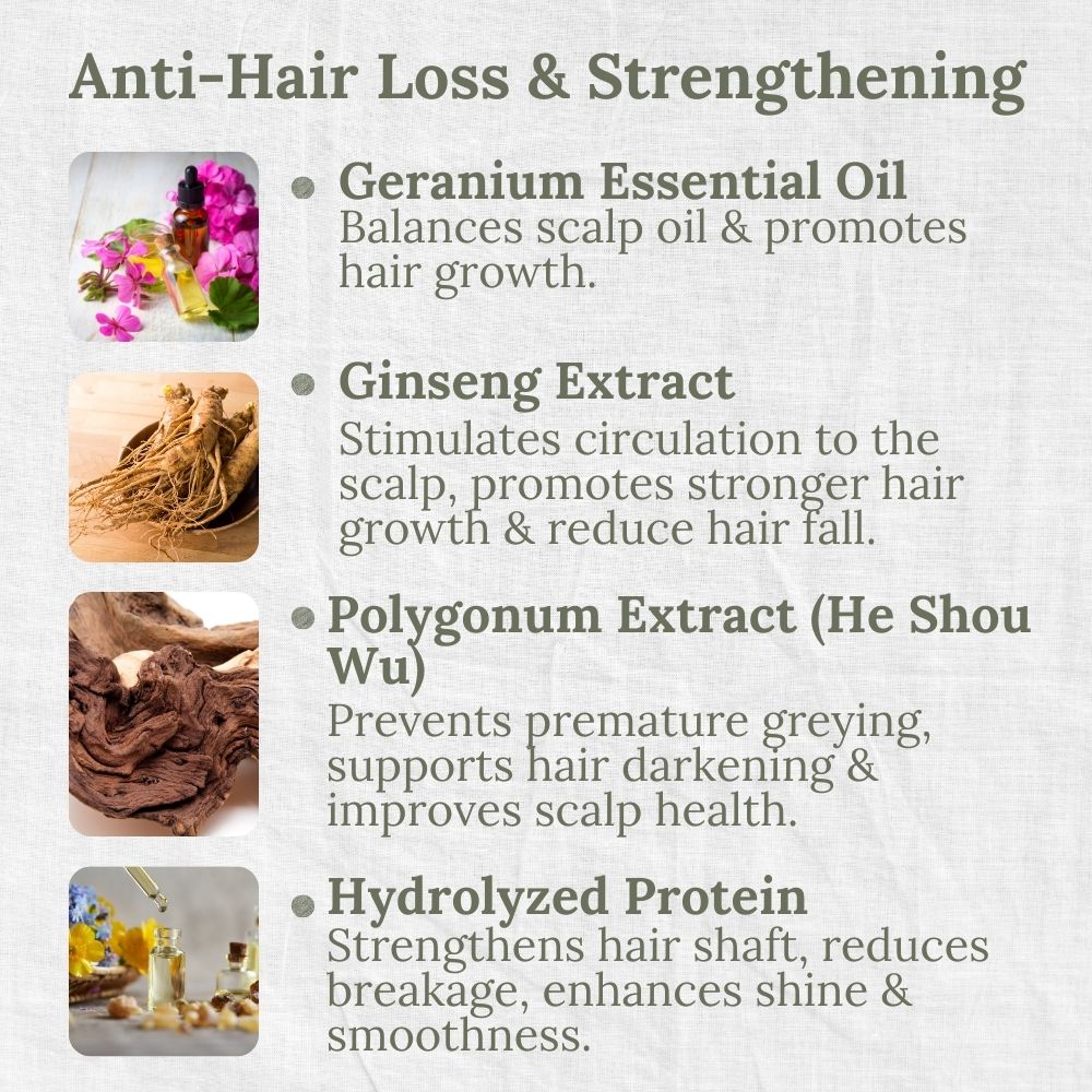 Mild & Gentle Shampoo, Geranium, Anti-Hair Loss, Strengthen, L&P Organic and Natural