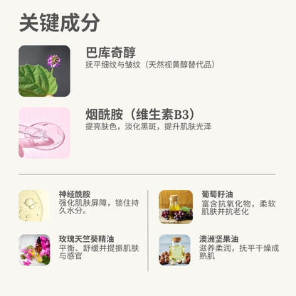 Advanced Renewal & Brightening Face Cream, 50ml, Brighten, Smooth, Anti-Aging, L&P Organic and Natural