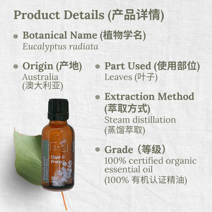 Organic Essential Oil, Eucalyptus, Clear, Protect, L&P Organic and Natural