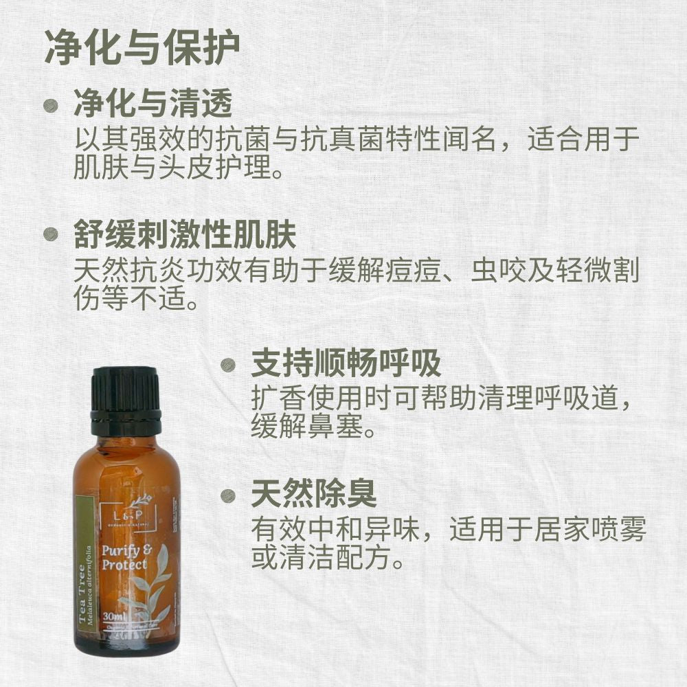 Organic Essential Oil, Tea Tree, Purify, Protect, L&P Organic and Natural