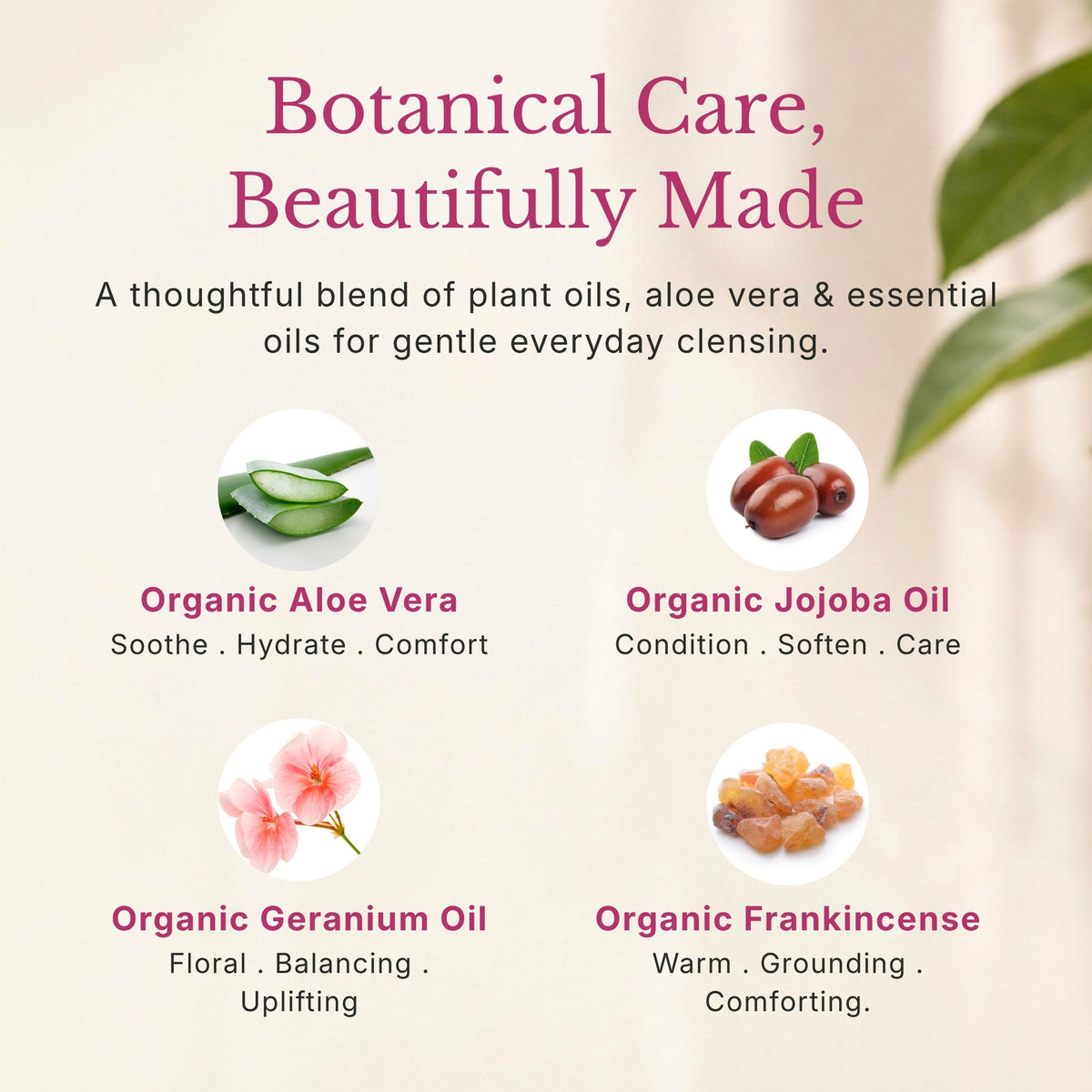 Mild & Gentle Body Wash, Floral Geranium