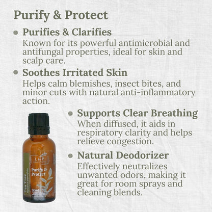 Organic Essential Oil, Tea Tree, Purify, Protect, L&P Organic and Natural