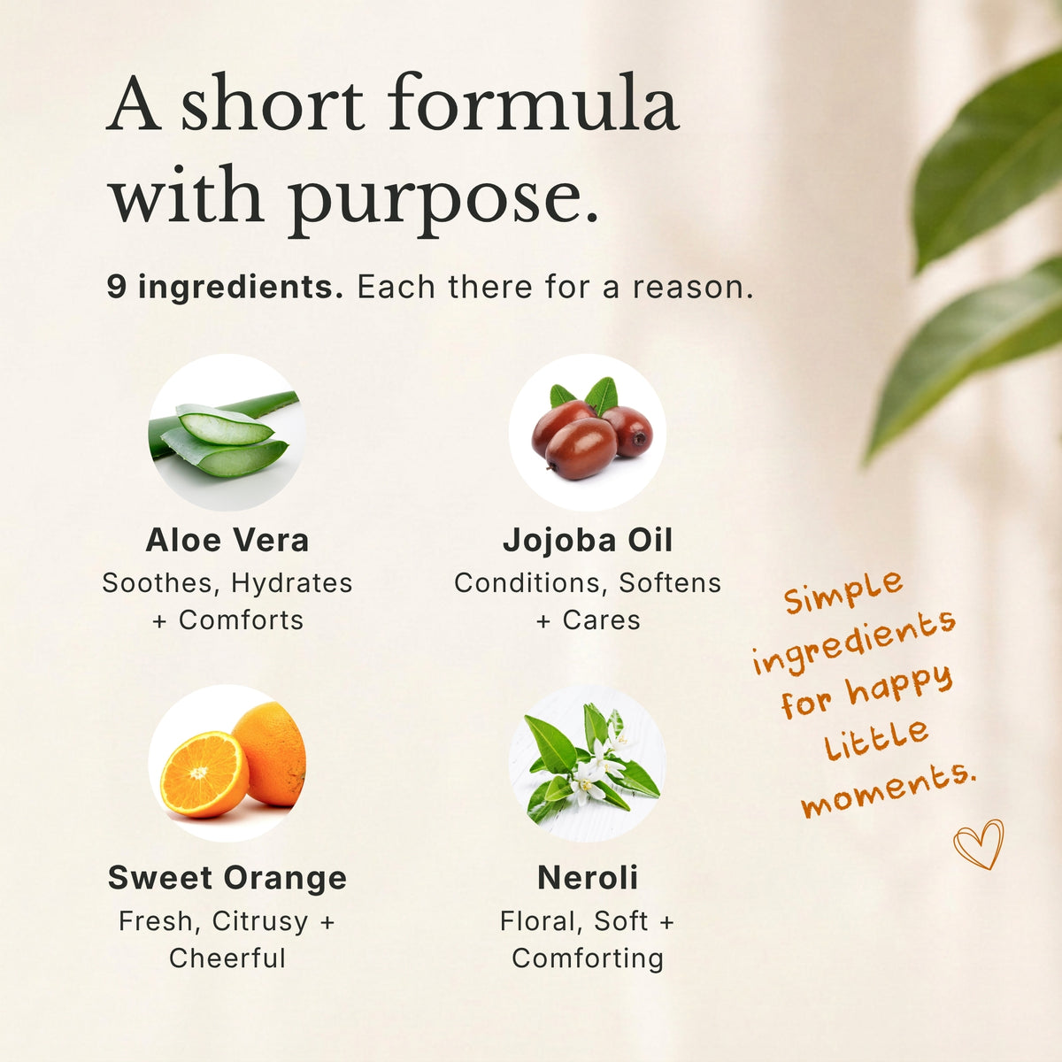 Head to Toe Wash, Cheerful Orange