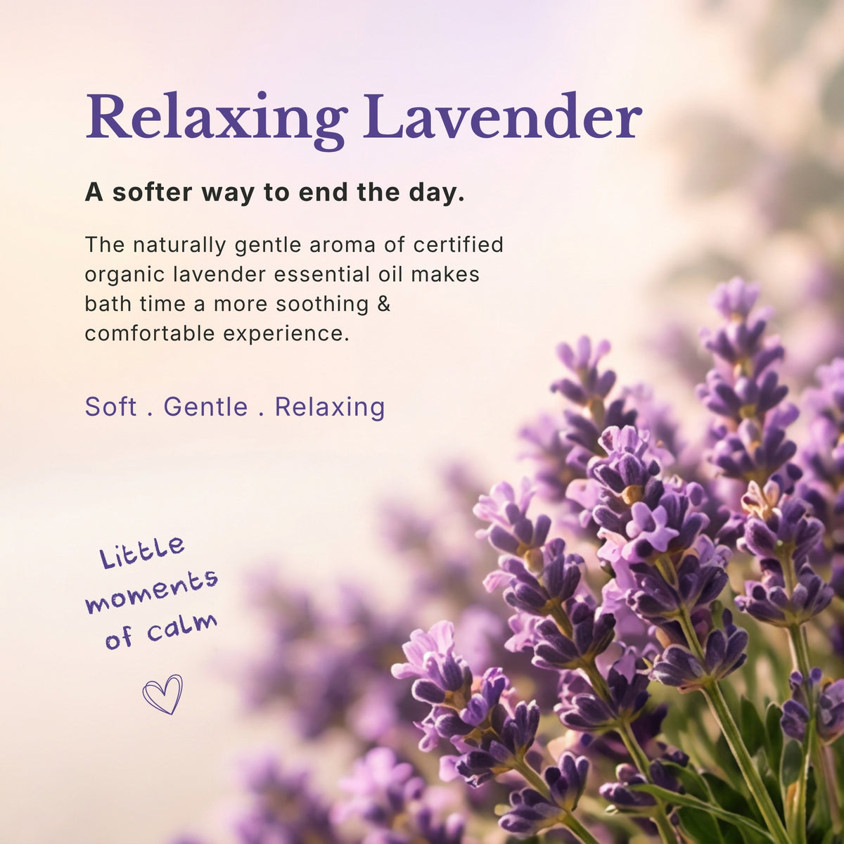 Head to Toe Wash, Relaxing Lavender